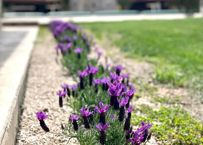 Πανσιόν Ego Salento 4*