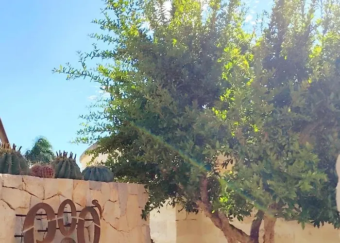 Ego Salento Πανσιόν 4*