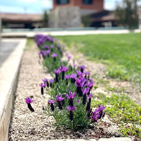 Guest house Ego Salento 4*