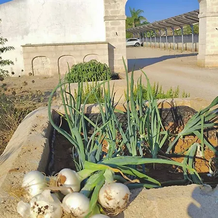 Πανσιόν Ego Salento 4*